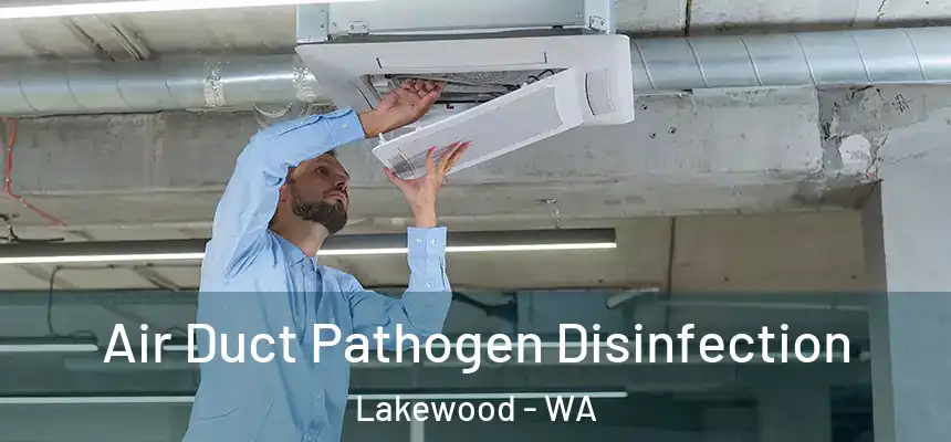  Air Duct Pathogen Disinfection Lakewood - WA