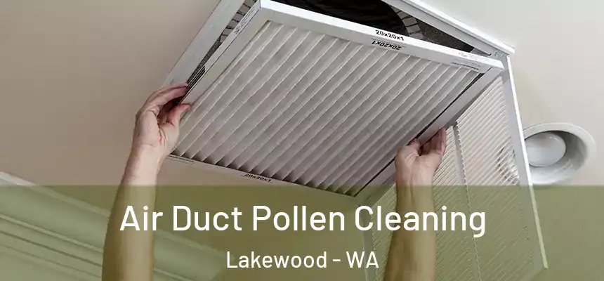 Air Duct Pollen Cleaning Lakewood - WA