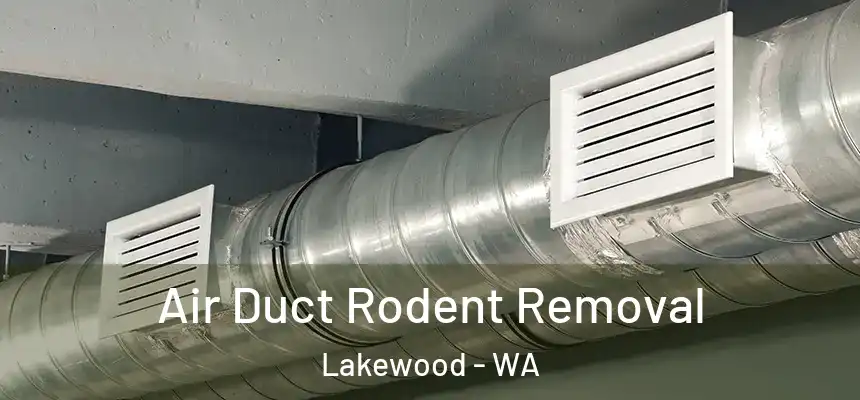  Air Duct Rodent Removal Lakewood - WA