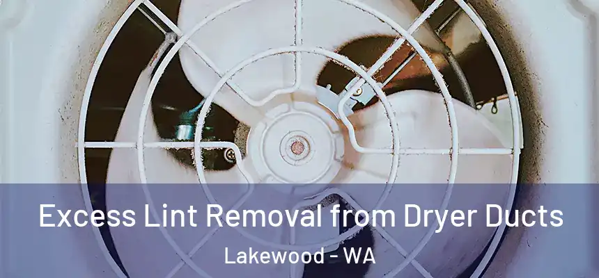  Excess Lint Removal from Dryer Ducts Lakewood - WA