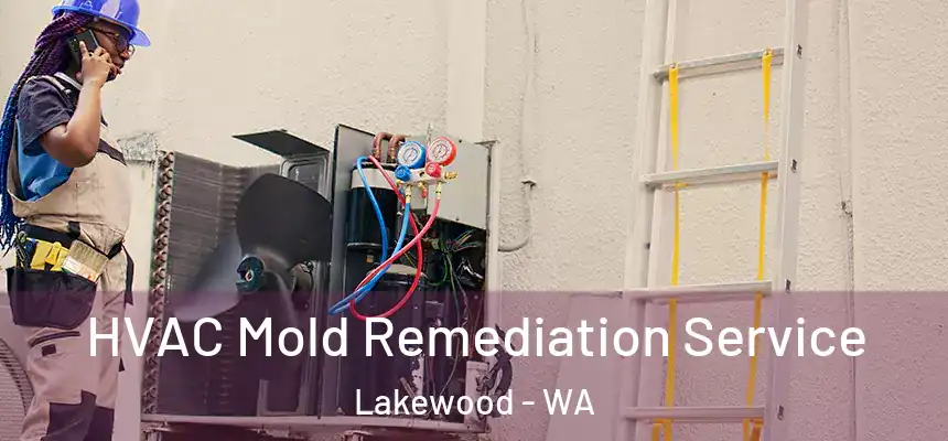  HVAC Mold Remediation Service Lakewood - WA