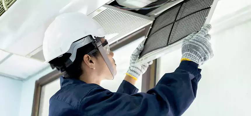 Our Mold & Mildew Removal from Air Ducts Services in Lakewood, WA