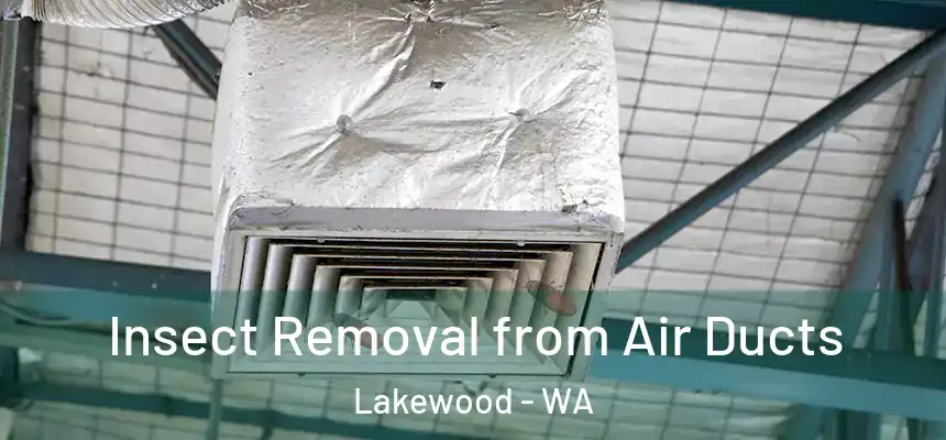  Insect Removal from Air Ducts Lakewood - WA
