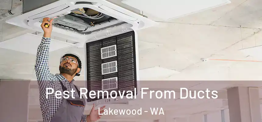  Pest Removal From Ducts Lakewood - WA