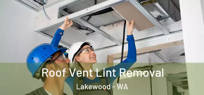  Roof Vent Lint Removal Lakewood - WA