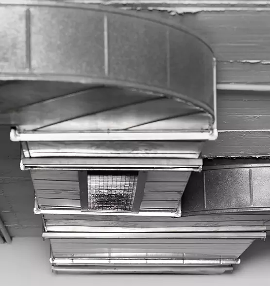 Professional Air Duct Pet Hair Removal in Lakewood, WA