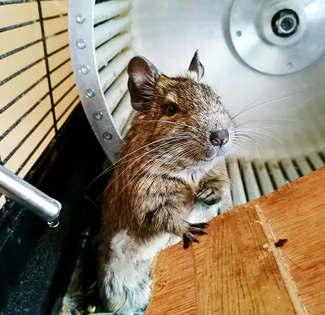 Why Homeowners & Businesses Trust Us Lakewood, WA?