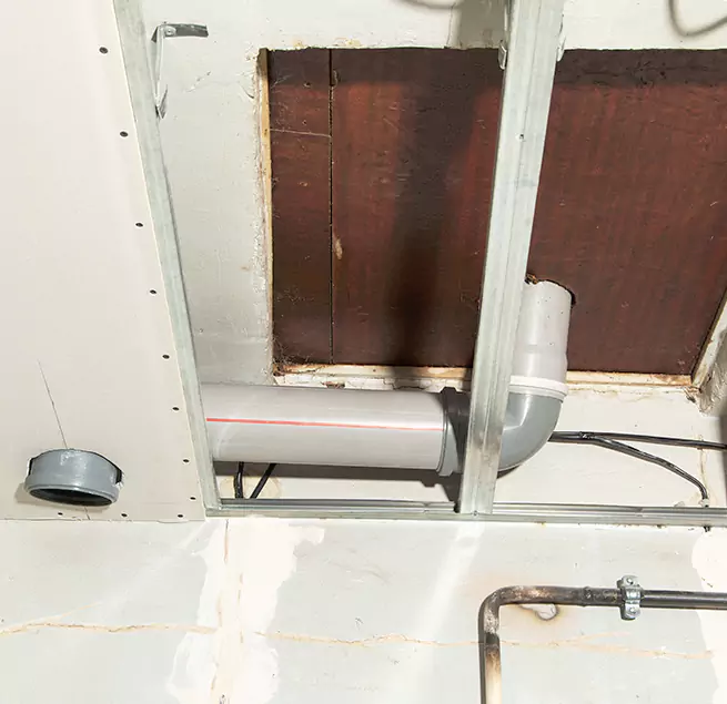 Why Homeowners & Businesses Trust Us in Lakewood, WA?