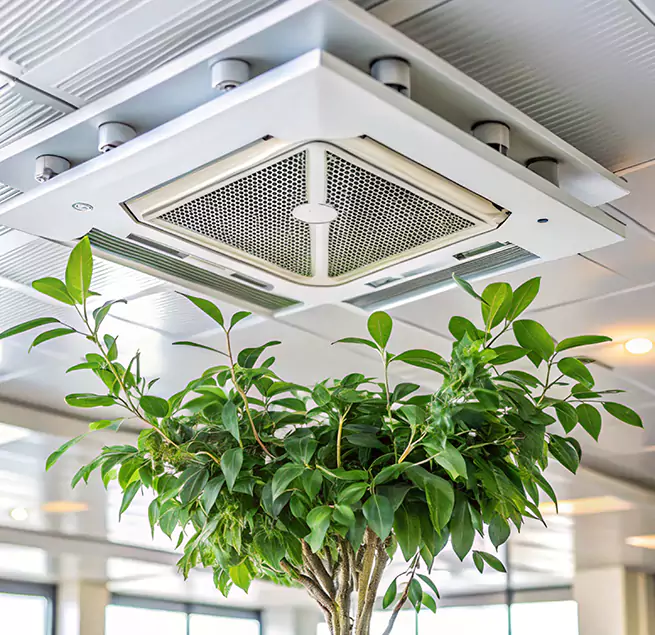 Why Homeowners & Businesses Trust Us in Lakewood, WA