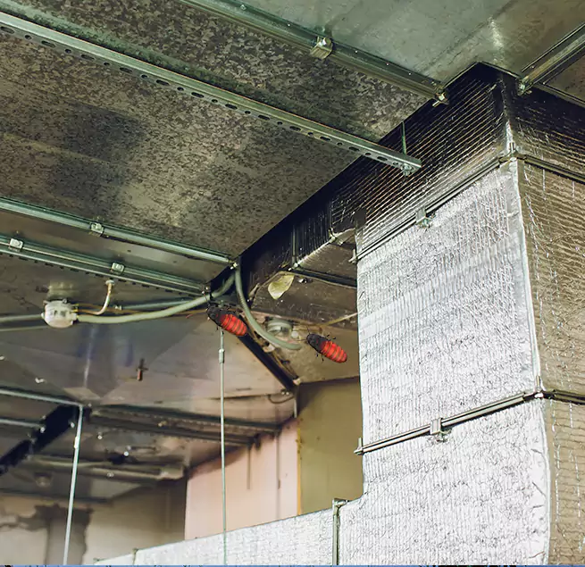 Why Homeowners & Businesses Trust Us Lakewood, WA?