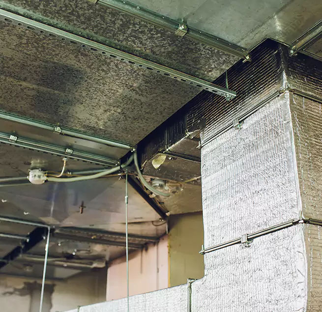 Why Homeowners & Businesses Trust Us in Lakewood, WA?