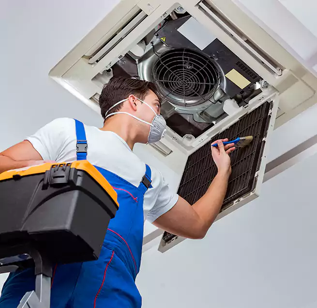 Why Homeowners & Businesses Trust Us in Lakewood, WA?